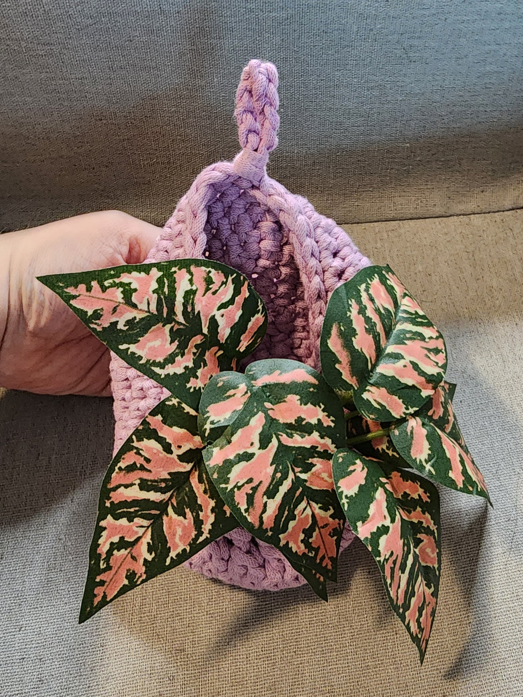 Hanging Planter